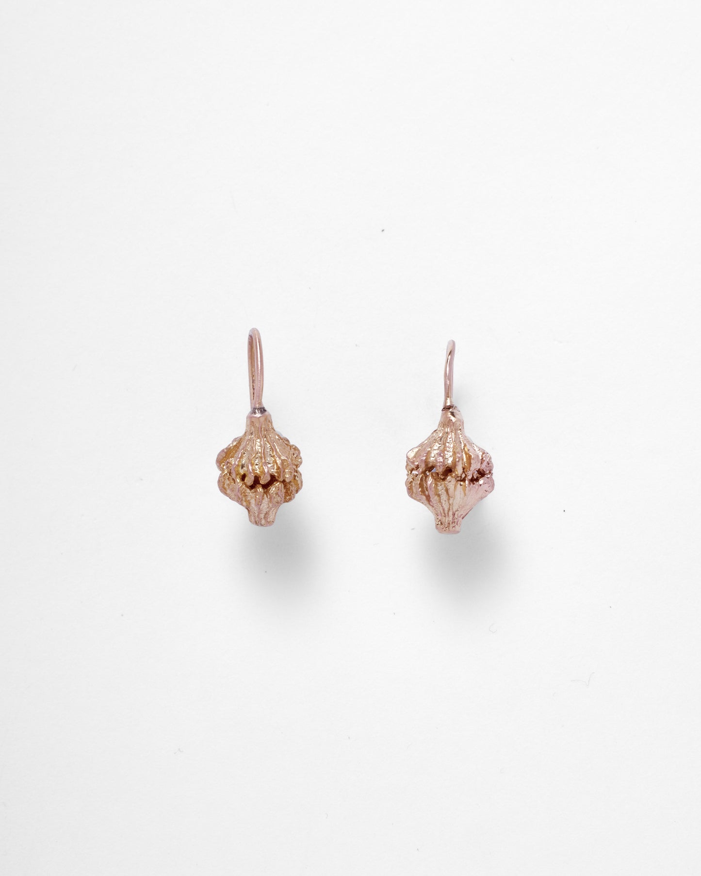 Little Seed Pod Earrings • 14k