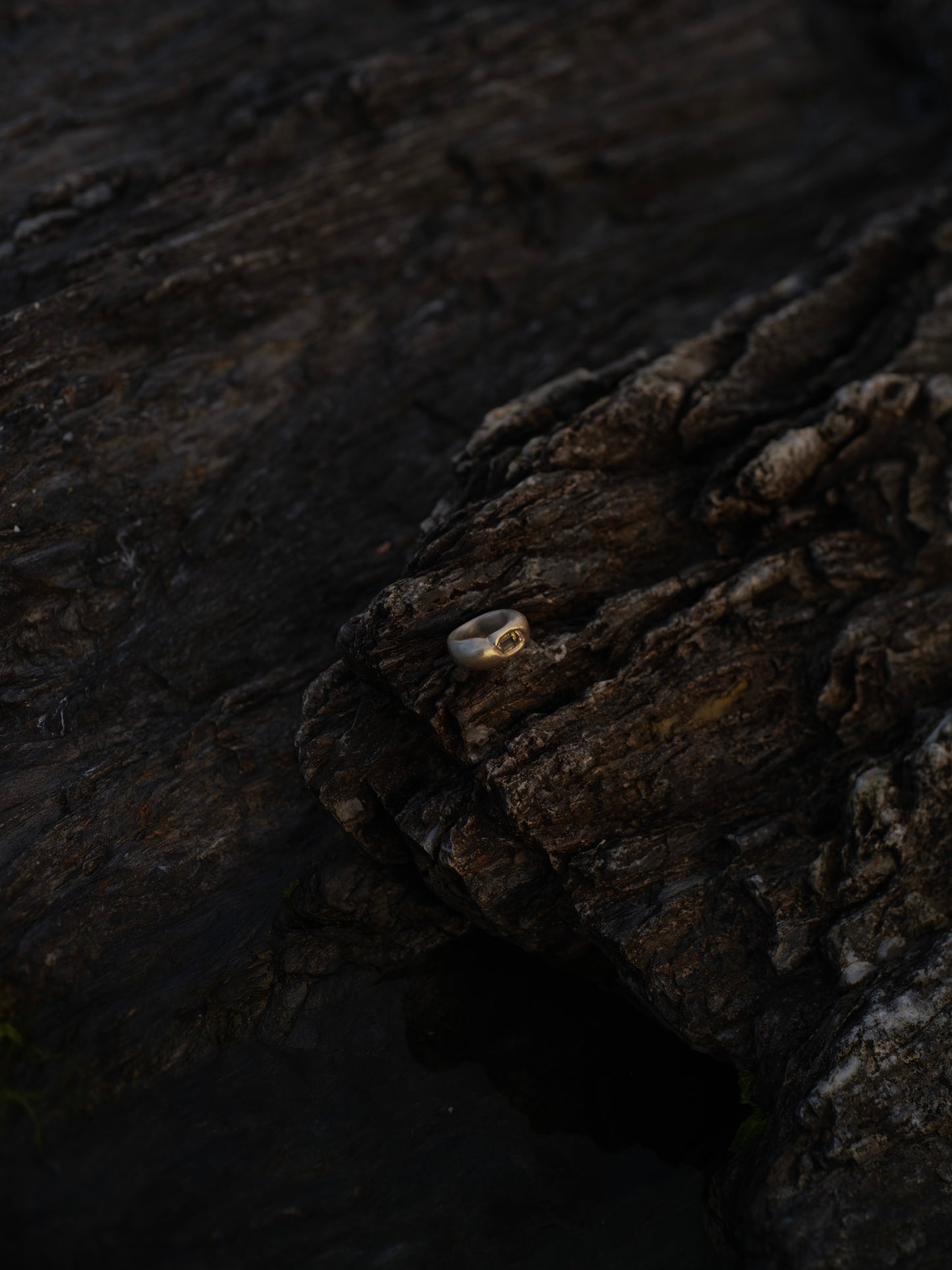 Nest Ring