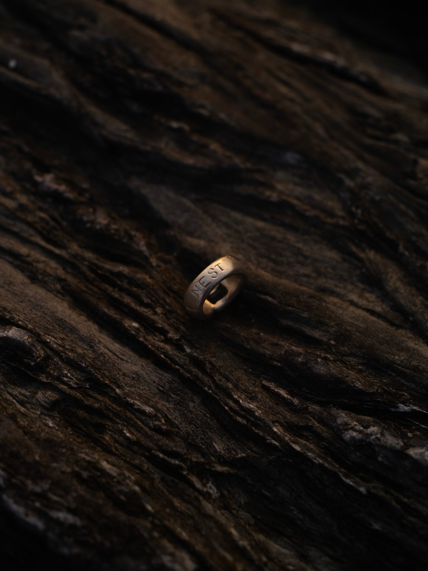 Nest Ring