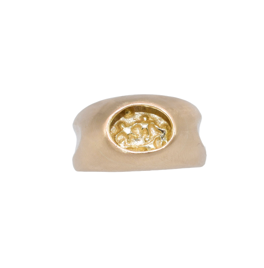 Picturesque Ring • 10k