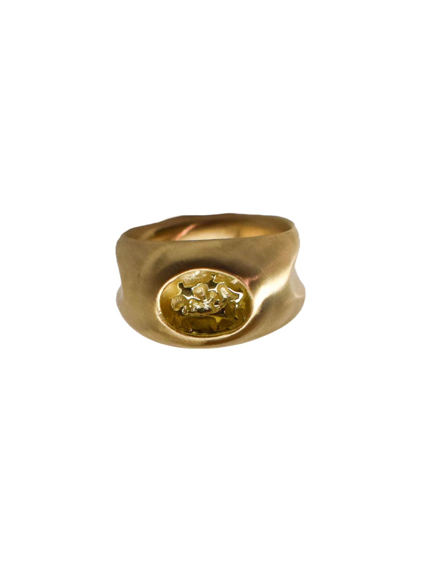 Picturesque Ring • 10k