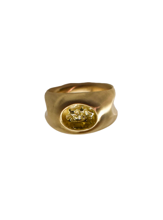 Picturesque Ring • 10k