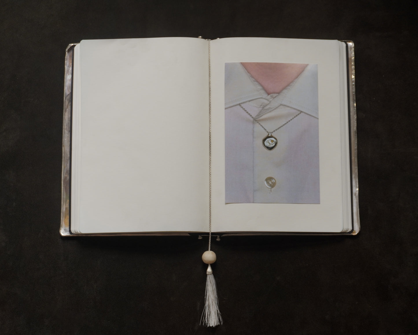 The Journal Cover